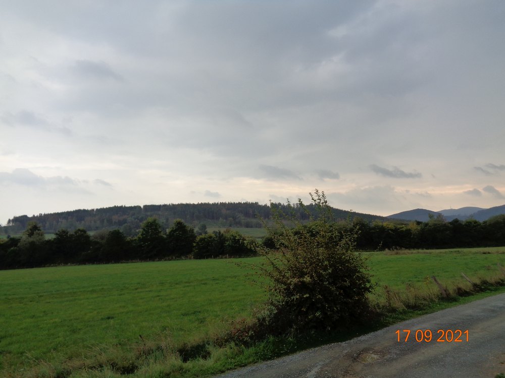 medebach_2021_021.jpg