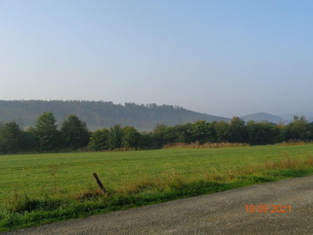 medebach_2021_043.jpg