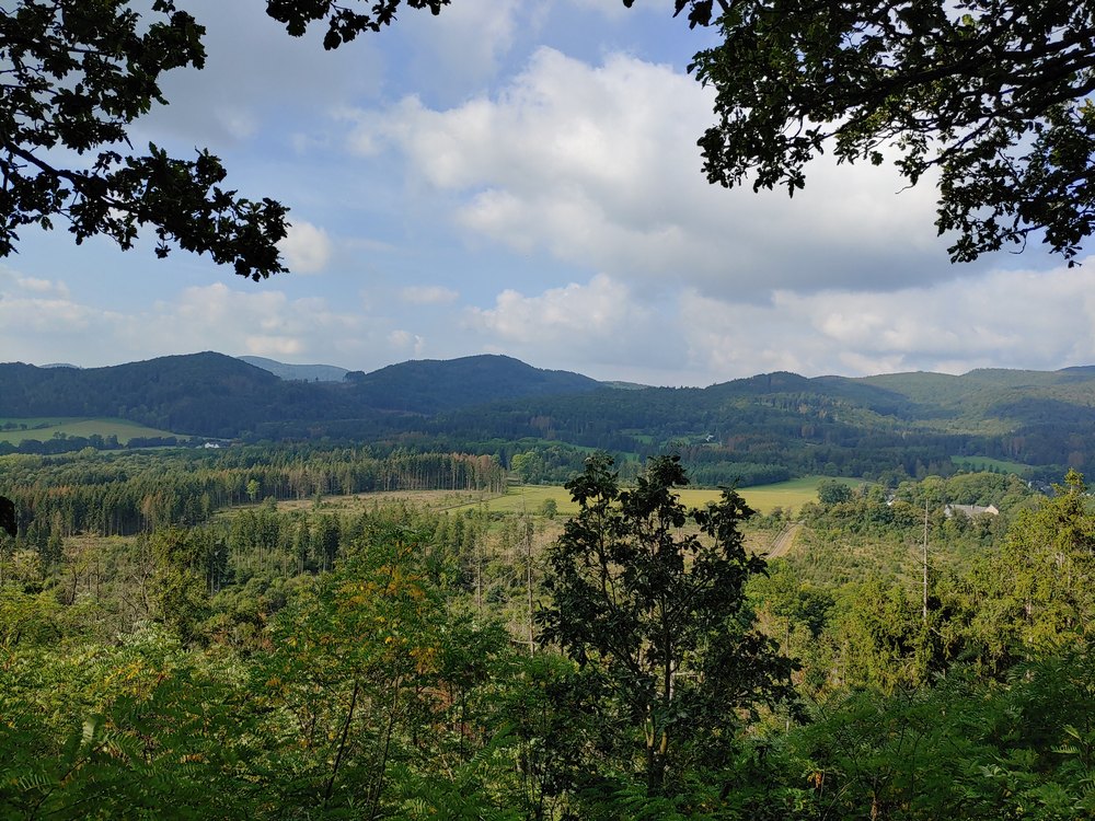 medebach_2021_061.jpg
