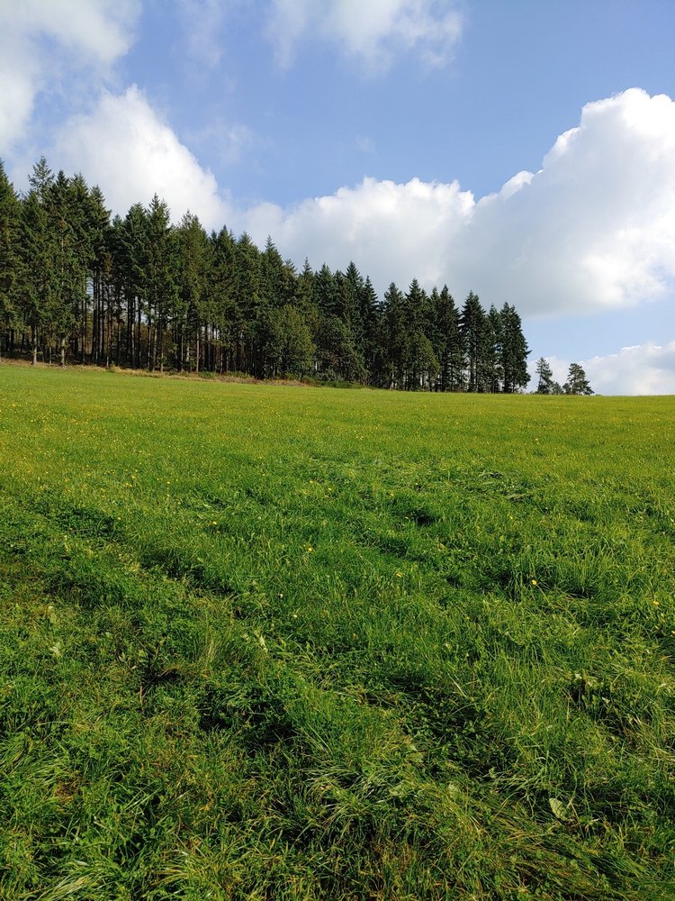 medebach_2021_063.jpg