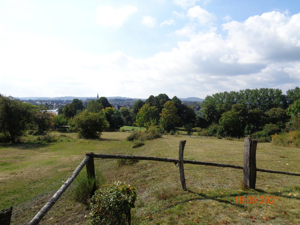 medebach_2021_067.jpg