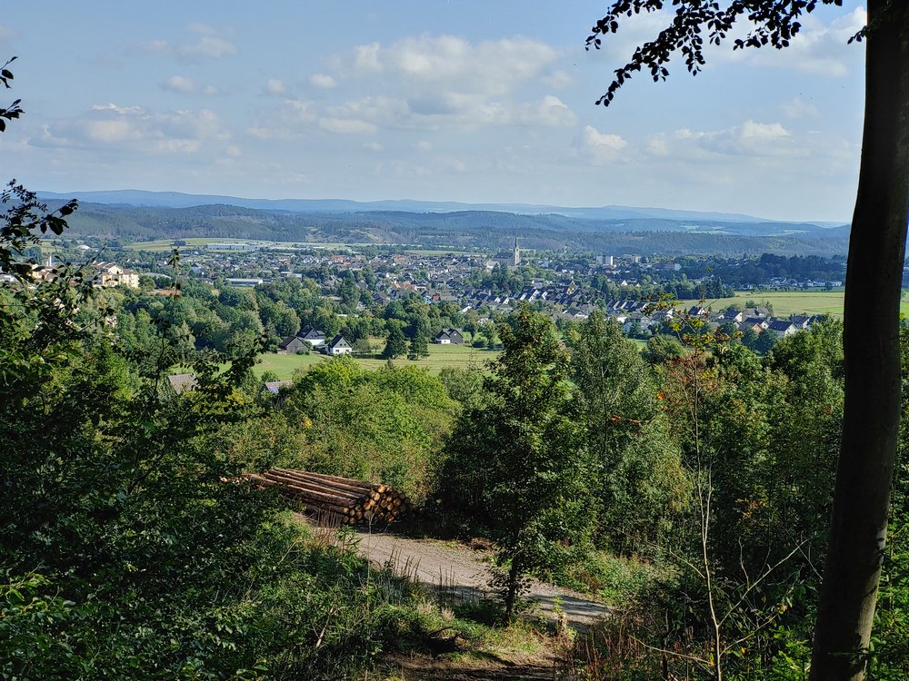 medebach_2021_076.jpg