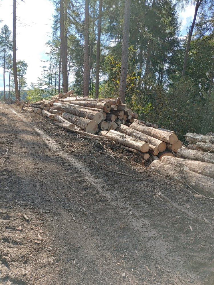 medebach_2021_078.jpg