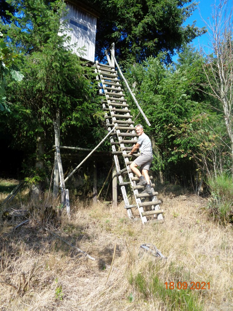 medebach_2021_080.jpg