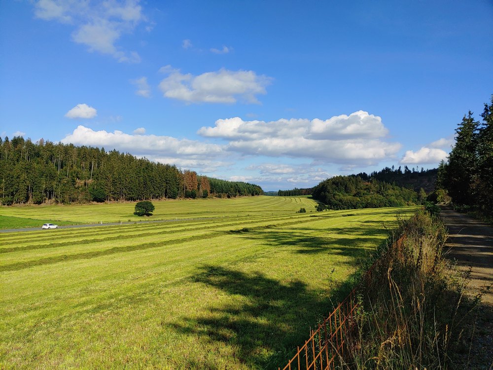medebach_2021_082.jpg