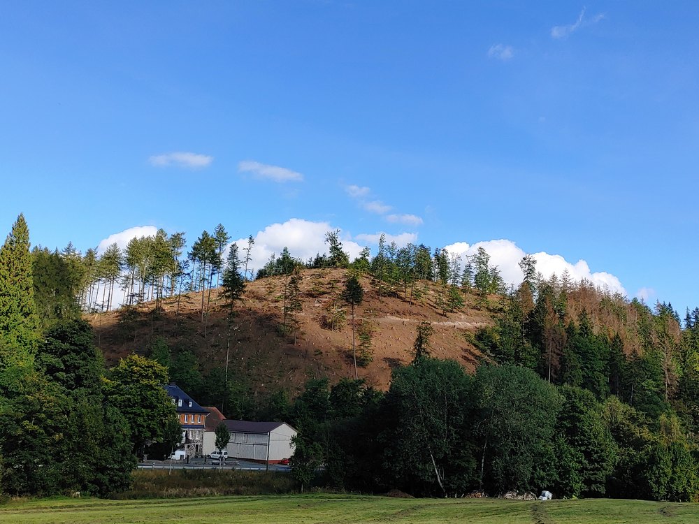 medebach_2021_088.jpg