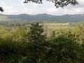 medebach_2021_059.jpg