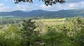 medebach_2021_060.jpg