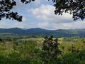 medebach_2021_061.jpg
