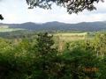 medebach_2021_062.jpg