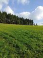 medebach_2021_063.jpg