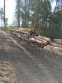 medebach_2021_078.jpg