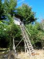 medebach_2021_079.jpg