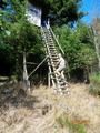 medebach_2021_080.jpg