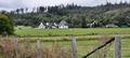 medebach_2021_125.jpg